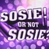 Sosie ! Or not sosie ? samedi 9 juillet sur TF1 à 20h45 !