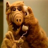 Flashback : Alf ! Kate, Willy, Lynne, Brian, et Alf... Que sont-ils devenus ?