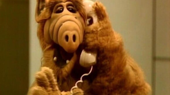 Flashback : Alf ! Kate, Willy, Lynne, Brian, et Alf... Que sont-ils devenus ?