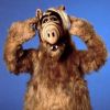 Alf, adorable extraterrestre, star de la série éponyme.