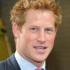 Le prince Harry a fait sensation fin août en Croatie lors d'une nuit de fiesta au Venaranda, discothèque à ciel ouvert très prisée.