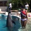 L'une des candidates profite des joies d'une baignade avec les dauphins lors du séjour des candidates Miss France 2012 au Mexique en novembre 2011