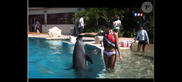 L'une des candidates profite des joies d'une baignade avec les dauphins lors du séjour des candidates Miss France 2012 au Mexique en novembre 2011
