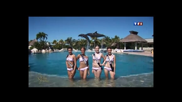 Miss France 2012 : Les 33 candidates se dévoilent en bikini auprès des dauphins