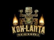 Koh Lanta 11 : Teheiura, Laurent, Ella, Gérard, Martin... Qui mérite de gagner ?