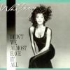 Toujours extrait de l'album Whitney, Didn't We Almost Have it All est un autre classique, un autre numéro de Whitney Houston, sorti en 1987.