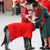 La Duchesse de Cambridge, Kate Middleton, avec la mascotte des Irish  Guards à Aldershot ce 17 mars, pour célébrer la Saint-Patrick.