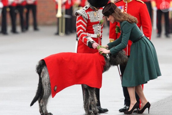 La Duchesse de Cambridge, Kate Middleton, avec la mascotte des Irish  Guards à Aldershot ce 17 mars, pour célébrer la Saint-Patrick.