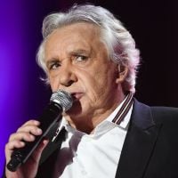 Michel Sardou Chanteur, Interprète