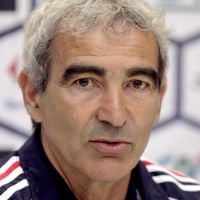 Raymond Domenech