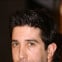 David Schwimmer