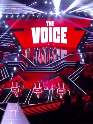 EXCLU Un finaliste The Voice 2024 lié à Pierre Garnier par une femme