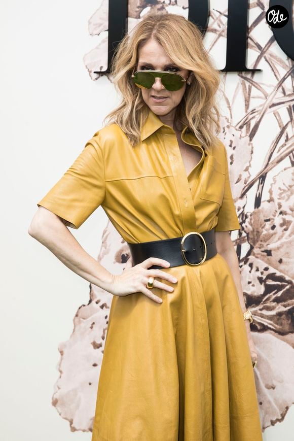 Le titre, “Bonjour, pardon, merci”, paraîtra le 3 juillet prochain.

Céline Dion lors du photocall du défilé de mode Haute-Couture automne-hiver 2017/2018 "Christian Dior" à l'Hôtel des Invalides à Paris, le 3 juillet 2017 © Olivier Borde/Bestimage