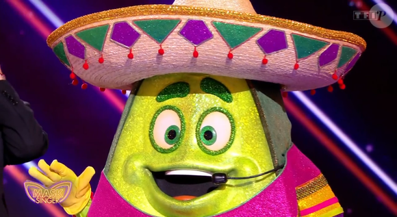 L'avocat dans Mask Singer - capture d'écran TF1