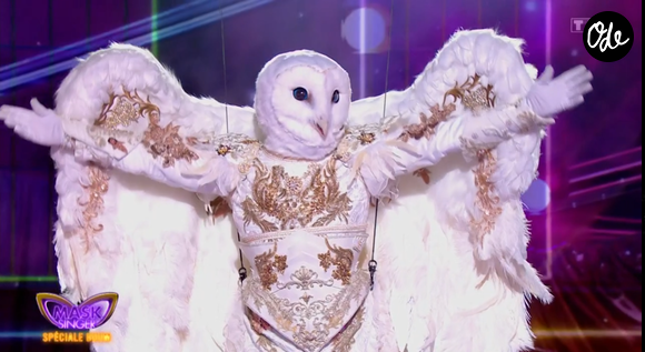 La Chouette dans Mask Singer - capture d'écran TF1