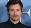 Les fans ont ainsi pu acquérir un vibromasseur vendu au prix de 68 dollars.

Harry Styles - Photocall de la première du film My Policeman à Los Angeles le 1er novembre 2022. 
WALTER / BESTIMAGE