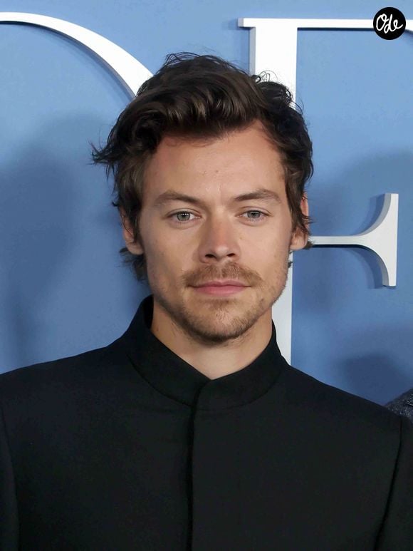 Les fans ont ainsi pu acquérir un vibromasseur vendu au prix de 68 dollars.

Harry Styles - Photocall de la première du film My Policeman à Los Angeles le 1er novembre 2022. 
WALTER / BESTIMAGE