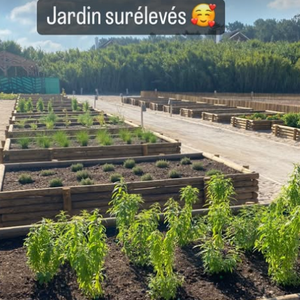 Le jardin est surélevé, son idée pour une meilleure posture du dos.

Voici à quoi ressemble la superbe maison de Karine Le Marchand dans le Sud de la France.