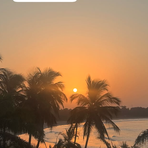 Elle a filmé l'océan et photographié des plages de cocotiers pour montrer la douceur de son séjour en Afrique de l'Ouest.

Sophie Davant, Instagram