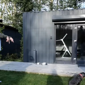 Sa propriété dispose d'un immense jardin, d'une salle de sport extérieure et se situe à deux pas de la forêt.

Vitaa ouvre les portes de son domicile pour "Esprit dog".
