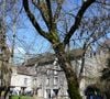 Rassemblement pour les 40 ans de la mort de Claude François à l'église de Dannemois et au cimetière puis visite du moulin ou il habitait le 11 mars 2018. Agence/Bestimage