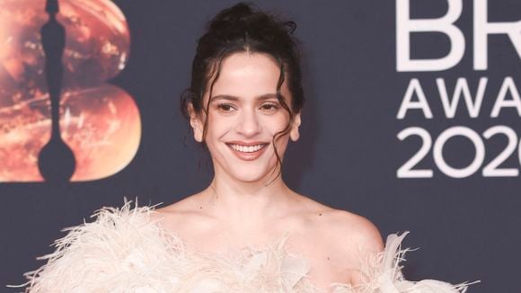 Rosalía sur la scène de l'Accor Arena à Paris : de Marion Cotillard à Léna Situations, les célébrités étaient au rendez-vous pour une soirée exceptionnelle