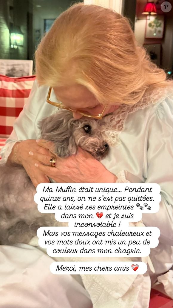 Sylvie Vartan fait un câlin à sa chienne Muffin et parle de sa tristesse depuis son départ - samedi 04 octobre 2025 sur Instagram