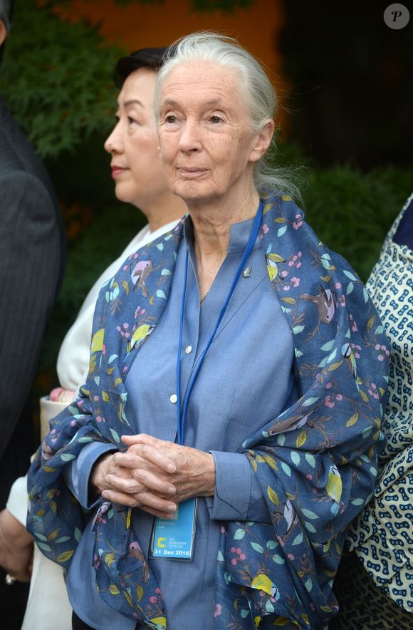 Leonardo DiCaprio, Ban Ki-moon, Michael Douglas, Jane Goodall, assistent à la cérémonie de la cloche de la paix à l'occasion du 35e anniversaire de la Journée internationale de la paix (21 septembre) à New York City, NY, USA, le 16 septembre 2016. Photo by Dennis Van Tine/ABACAPRESS.COM