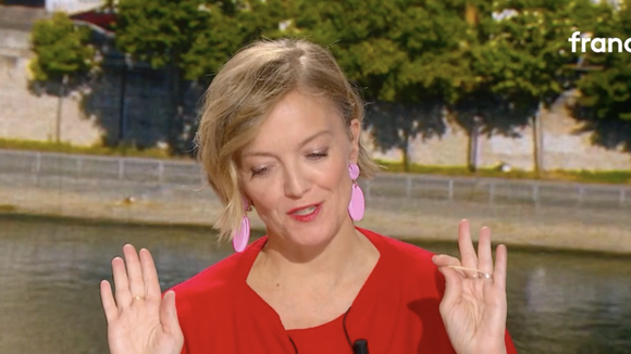 "Moi j'ai donné !" : Maya Lauqué séparée du père de ses enfants, elle fait un commentaire lourd de sens en direct dans Télématin