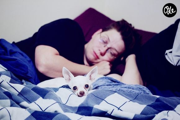 Les animaux apportent réconfort, sécurité et soutien affectif.