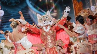 EXCLU "Je ne pouvais pas maîtriser..." : Le Lynx désavantagé malgré lui dans Mask Singer, la production n'avait aucune idée de sa condition