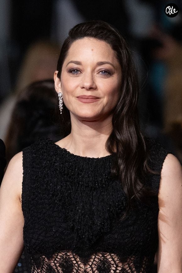 Marion Cotillard - Montée des marches du film « Roma elastica » lors du 79ème Festival International du Film de Cannes, le 20 mai 2026. © Jacovides-Moreau / Bestimage