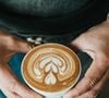 Les chercheurs ont suivi 62 adultes, consommateurs réguliers ou non de café.

Photo prise par Nathan Dumlao / Unsplash