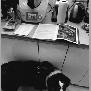 Quelques heures avant le réveillon, la miss météo de M6 se met en cuisine.
Gennifer Demey partage ses préparatifs culinaires pour Noël.