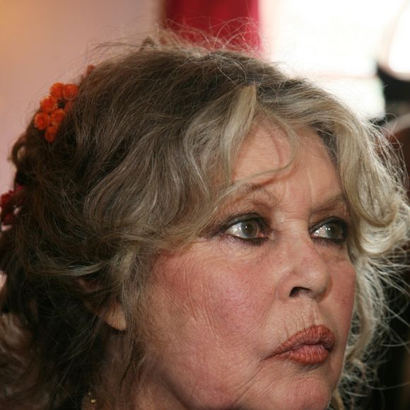 Brigitte Bardot en 2006. Photo par Agence / Bestimage