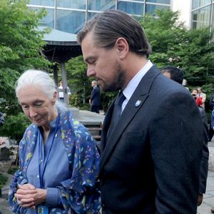 Leonardo DiCaprio, Ban Ki-moon, Michael Douglas, Jane Goodall, assistent à la cérémonie de la cloche de la paix à l'occasion du 35e anniversaire de la Journée internationale de la paix (21 septembre) à New York City, NY, USA, le 16 septembre 2016. Photo by Dennis Van Tine/ABACAPRESS.COM