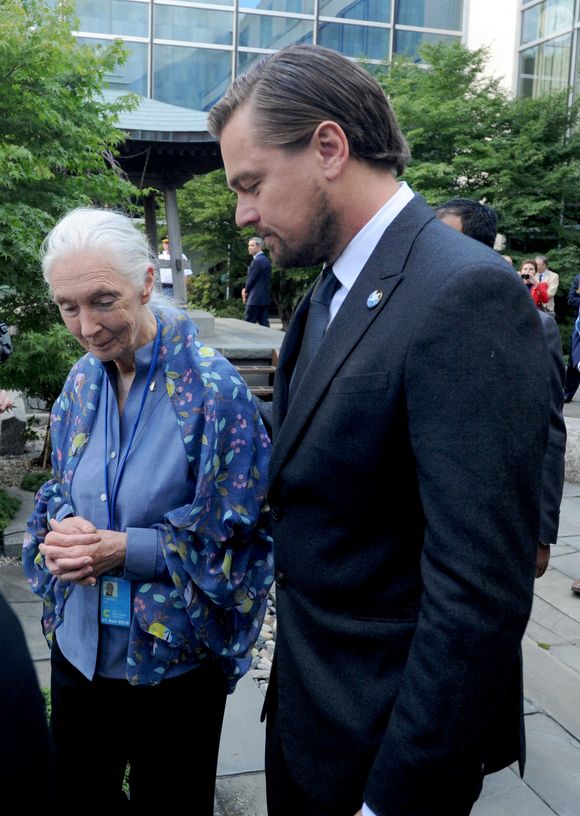 Leonardo DiCaprio, Ban Ki-moon, Michael Douglas, Jane Goodall, assistent à la cérémonie de la cloche de la paix à l'occasion du 35e anniversaire de la Journée internationale de la paix (21 septembre) à New York City, NY, USA, le 16 septembre 2016. Photo by Dennis Van Tine/ABACAPRESS.COM