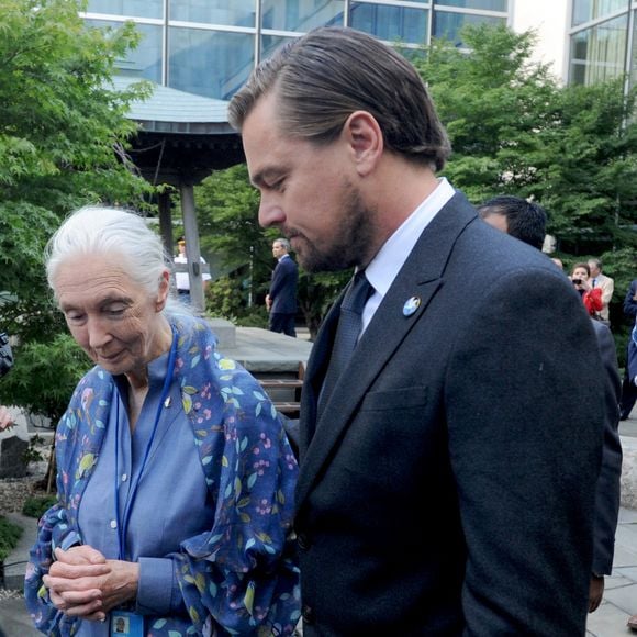 Leonardo DiCaprio, Ban Ki-moon, Michael Douglas, Jane Goodall, assistent à la cérémonie de la cloche de la paix à l'occasion du 35e anniversaire de la Journée internationale de la paix (21 septembre) à New York City, NY, USA, le 16 septembre 2016. Photo by Dennis Van Tine/ABACAPRESS.COM