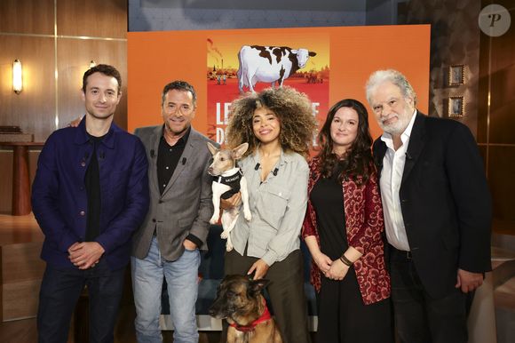 Hugo Clément, Bernard Montiel, Oli et son chien Monda, Maître Olivia Symniacos et Raphaël Mezrahi sur plateau de l'émission "Animalement Vôtre" présentée par B.Montiel et diffusée le 1er février 2026 sur France 3, à Paris, France, le 3 décembre 2025. © Jack Tribeca/Bestimage