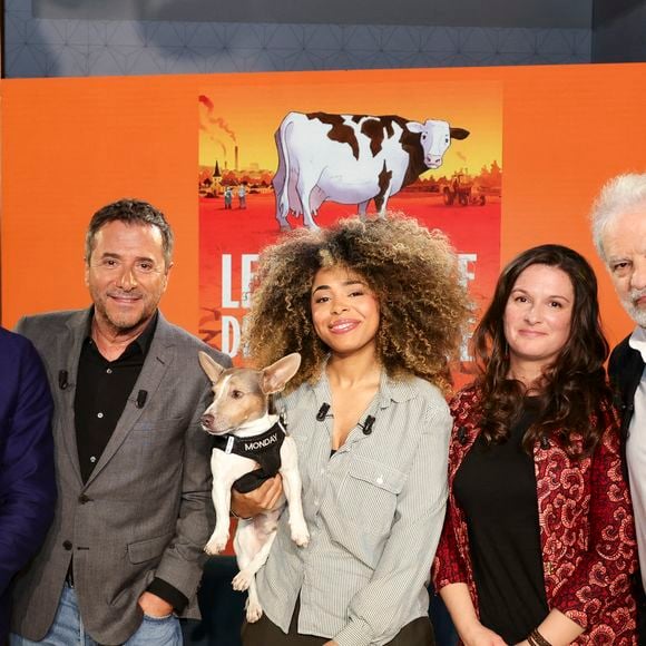Hugo Clément, Bernard Montiel, Oli et son chien Monda, Maître Olivia Symniacos et Raphaël Mezrahi sur plateau de l'émission "Animalement Vôtre" présentée par B.Montiel et diffusée le 1er février 2026 sur France 3, à Paris, France, le 3 décembre 2025. © Jack Tribeca/Bestimage