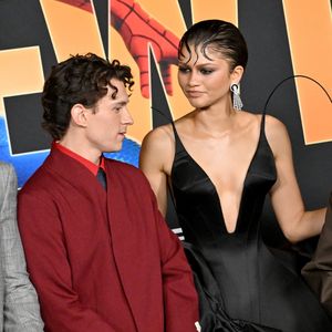 27 juillet 2026. Avant-première à Los Angeles du film de Columbia Pictures "Spider-Man: Brand New Day". Dolby Theatre, Hollywood, Californie. Tom Holland et Zendaya. GOFF  / BESTIMAGE