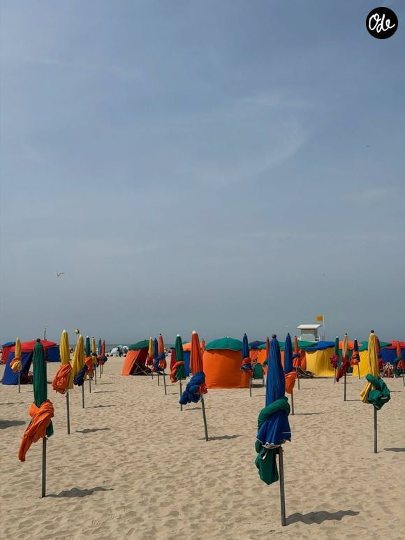 Le Normandy est un hôtel emblématique de Deauville, réputé pour son architecture anglo-normande et sa célèbre toile de Jouy.

Malika Ménard de passage au mythique hôtel Normandy, à Deauville.