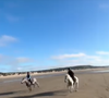 Ces images mettent en valeur les vastes plages et l'atmosphère élégante de la célèbre station balnéaire normande.

Capture Giulia Sarkozy - Instagram