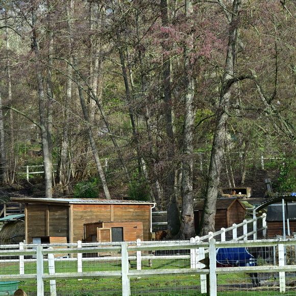 Illustration de l'ancienne demeure (bergerie du XVIIIème siècle) de Brigitte Bardot à Bazoches-sur-Guyonne dans les Yvelines, France, le 2 janvier 2026. © Christian Liewig/Bestimage