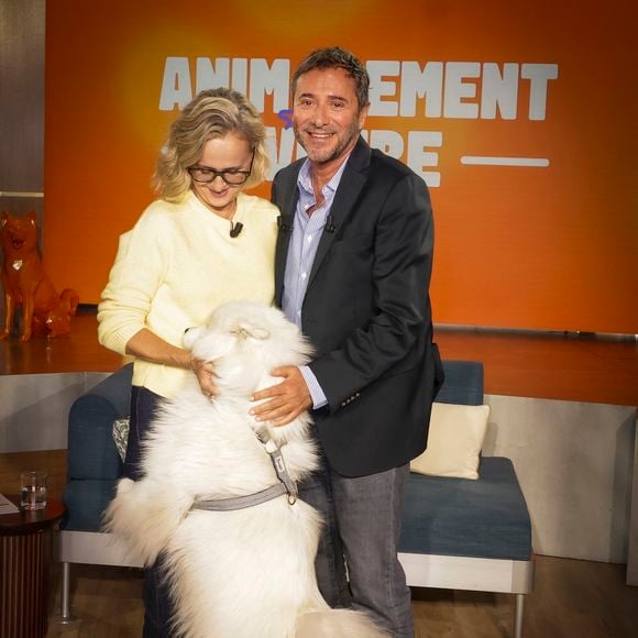 Exclusif - Caroline Roux, sur plateau de la nouvelle émission "Animalement Vôtre" présentée par Bernard Montiel et diffusée le 30 novembre sur France 3, à Paris, France, le 14 octobre 2025. © Jack Tribeca/Bestimage