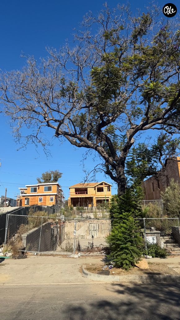Le quartier de Pacific Palisades, où Laeticia Hallyday a perdu sa maison avec les incendies, est en pleine réhabilitation.