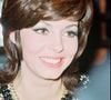 Ce personnage adulé a marqué sa carrière, entre gloire et enfermement artistique.

Michèle Mercier (photo d'archive) Photo par Bestimage