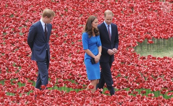 Le prince William, Kate Middleton et le prince Harry visitent la tour de Londres entourée d’une mer pourpre à Londres le 5 août 2014. Cette installation, conçue par l’artiste Paul Cummins et le designer Tom Piper, va commémorer chaque fatalité britannique ou Colonial de la première guerre mondiale en plantant 888 246 coquelicots en céramique rouge dans une mer qui coule autour de la tour. © Agence / Bestimage