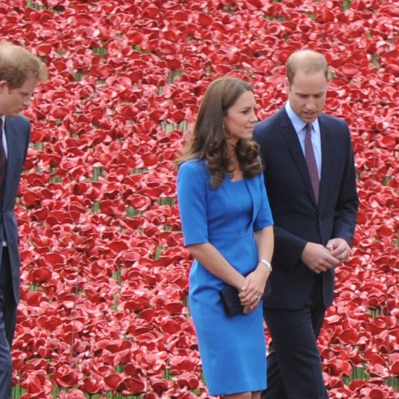 Le prince William, Kate Middleton et le prince Harry visitent la tour de Londres entourée d’une mer pourpre à Londres le 5 août 2014. Cette installation, conçue par l’artiste Paul Cummins et le designer Tom Piper, va commémorer chaque fatalité britannique ou Colonial de la première guerre mondiale en plantant 888 246 coquelicots en céramique rouge dans une mer qui coule autour de la tour. © Agence / Bestimage