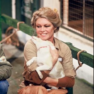 Après la mort de Brigitte Bardot, l’attention se porte désormais sur la Garrigue, son refuge animalier discret situé sur les hauteurs de Saint-Tropez. 

Archives - Brigitte Bardot visite un local de la SPA. Frederic Herve / Bestimage